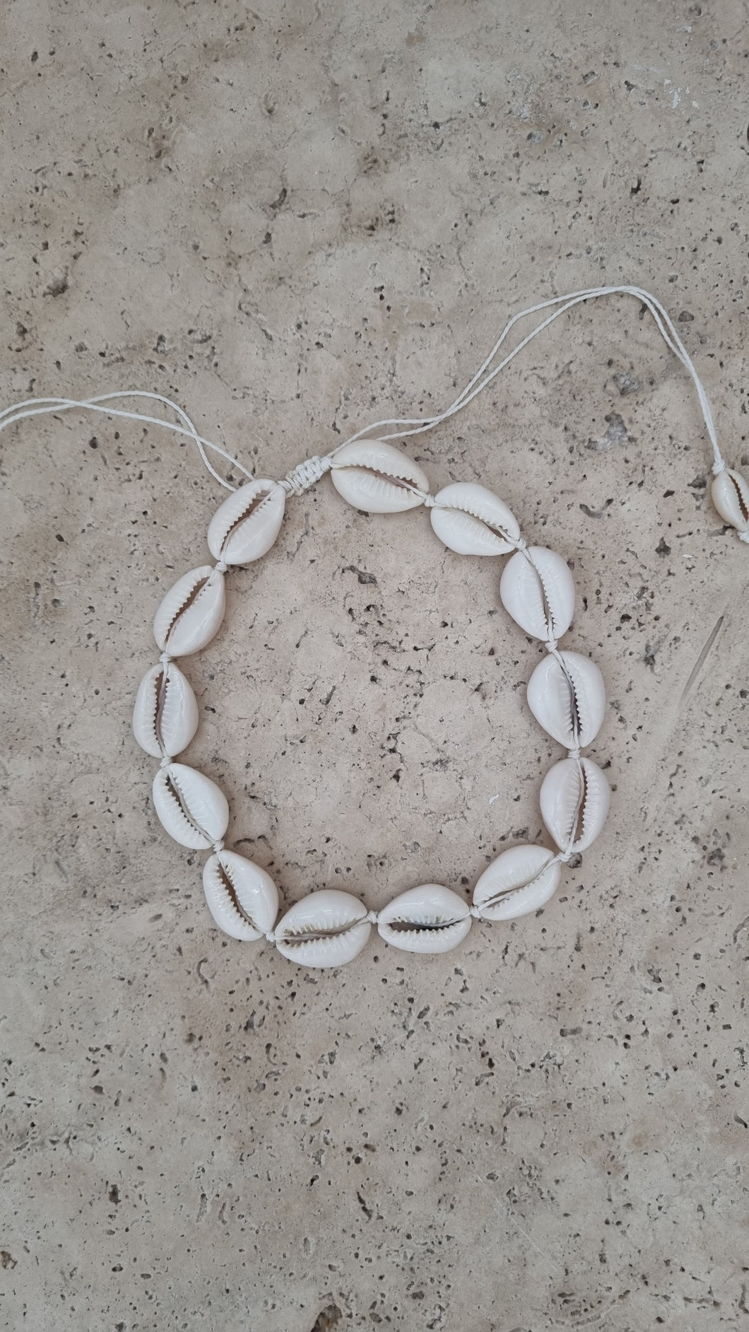 Shell choker necklace