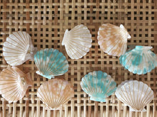 Load image into Gallery viewer, Mermaid Shell Hair Clip
